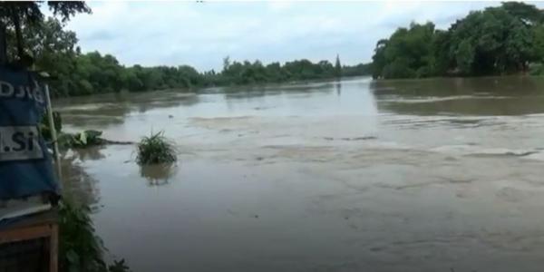 Misteri Kedung Siluman Buaya Putih di Sungai Bengawan Solo