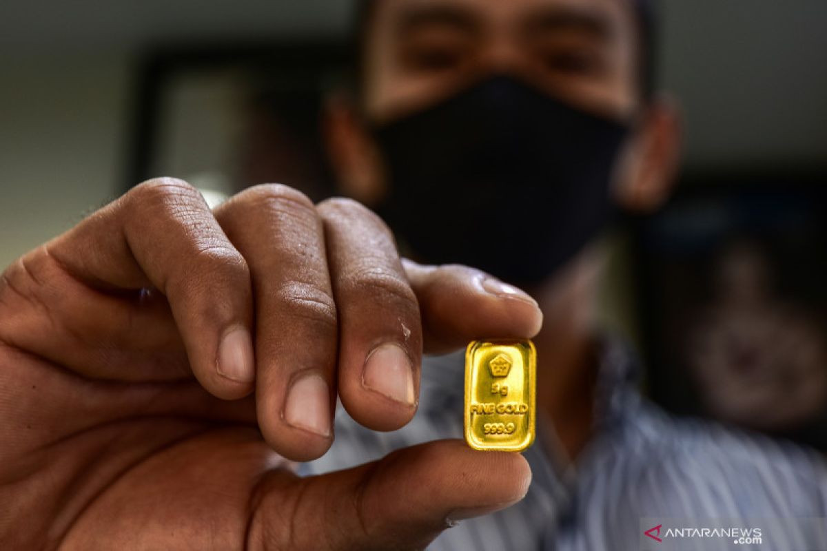 Baby Gold atau Emas Mini Dikumpulkan Lalu Dijual